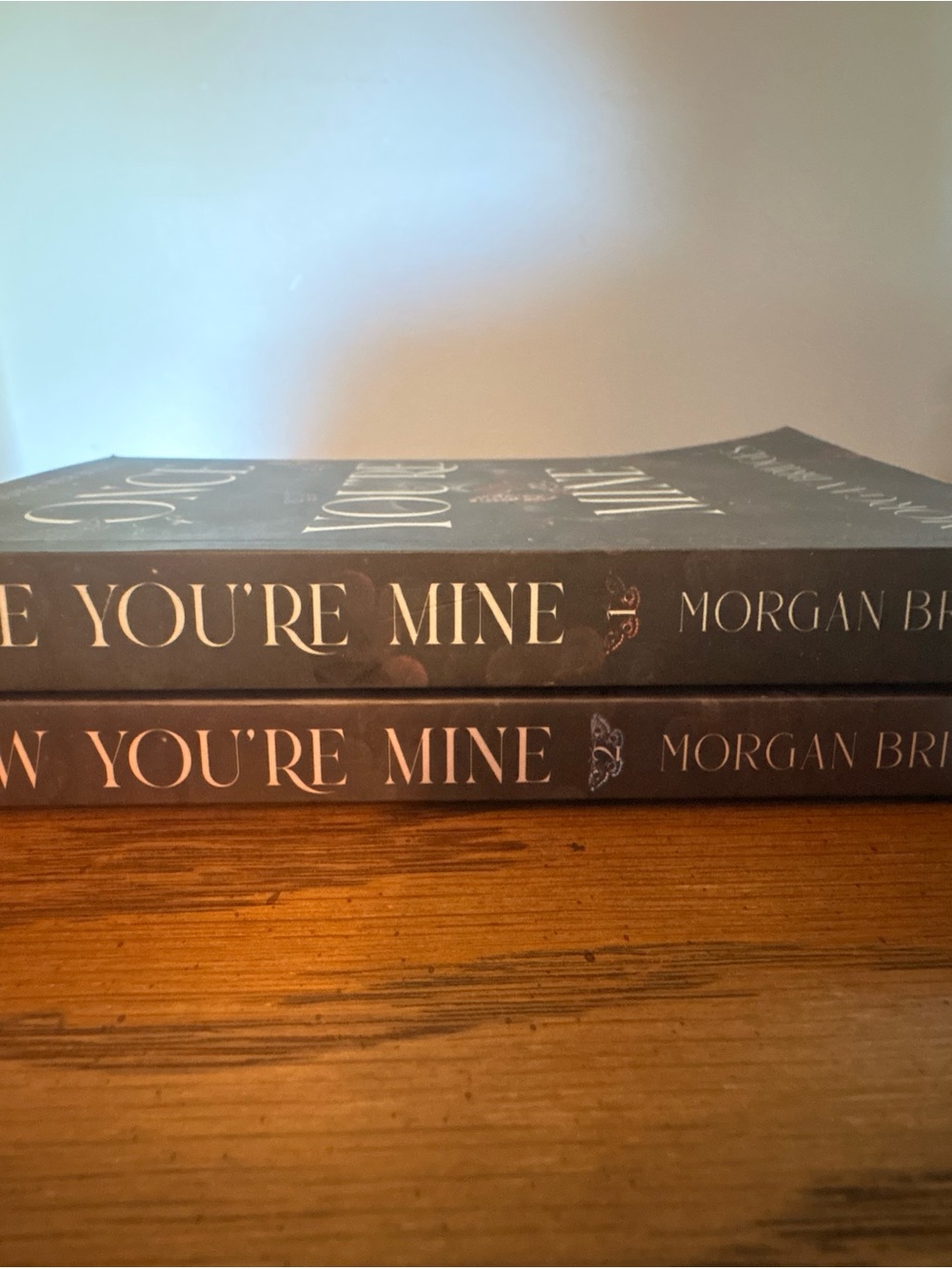 Now You're Mine Series by Morgan B. —